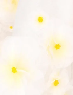 Matchmaker Daisy Mini Dress